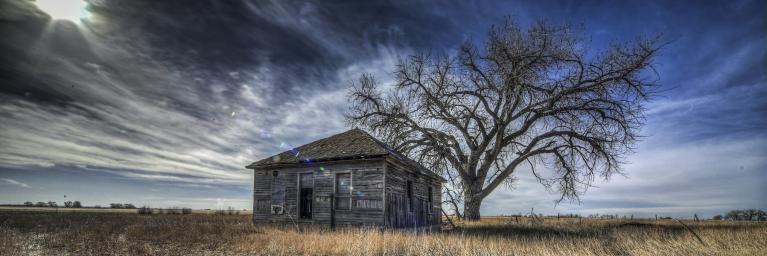 Old abandoned house under a tree